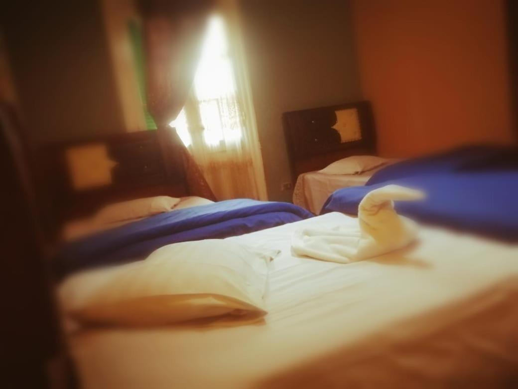 Hi Nile Plaza Hostel Kaherah Luaran gambar